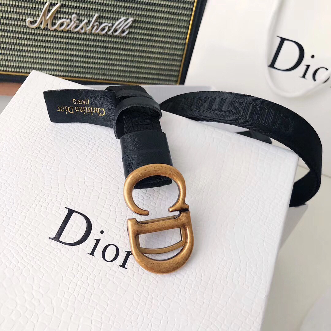 christian dior fabric belt