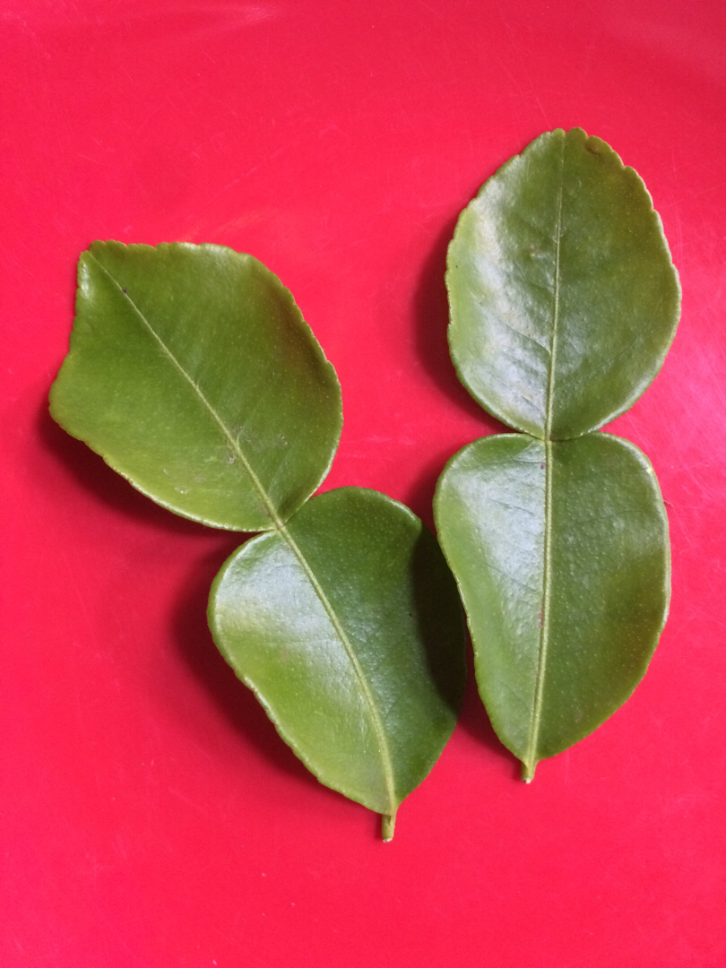 Daun Jeruk Purut Segar #mauthr, Perkebunan di Carousell