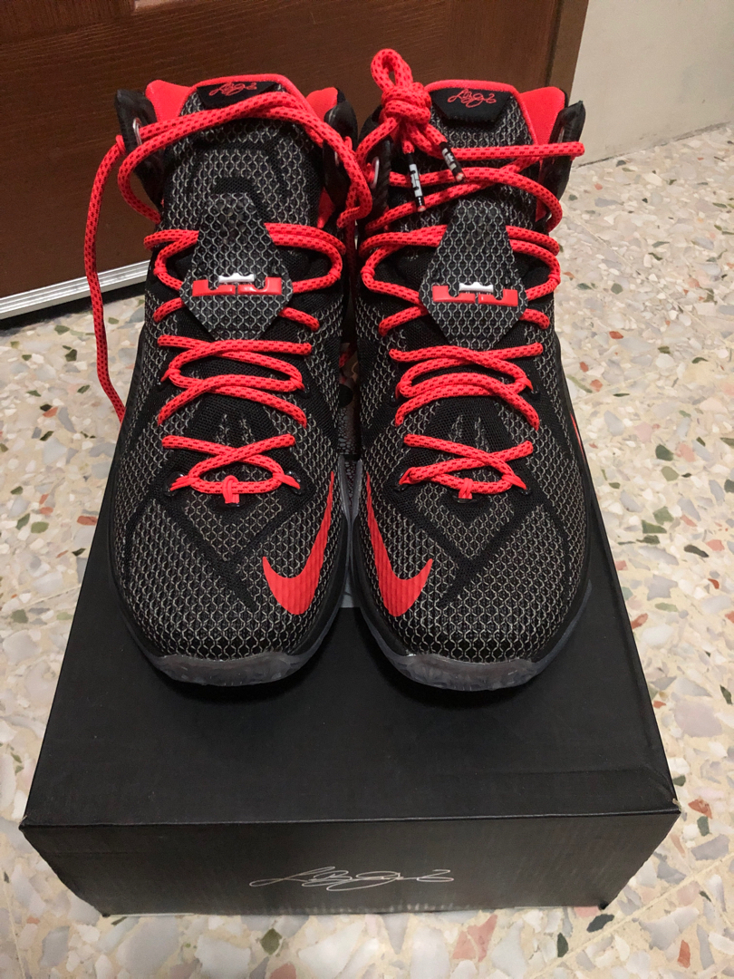 lebron 12 court vision