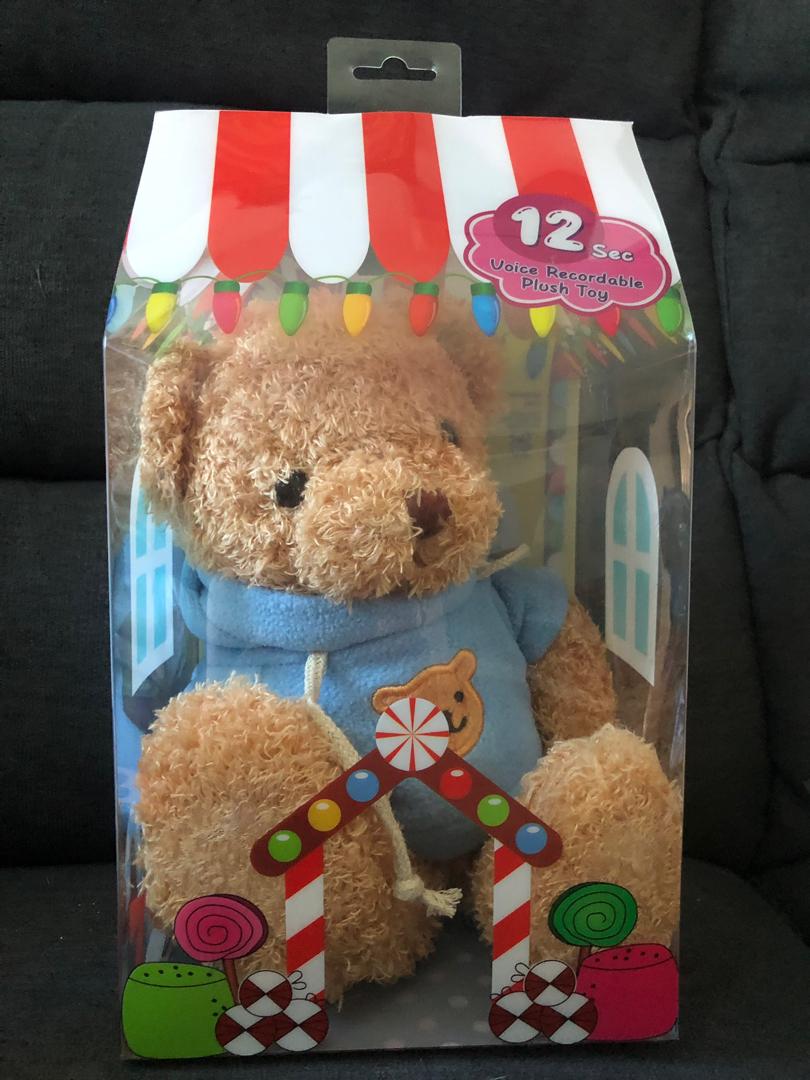 teddy bear with audio recording