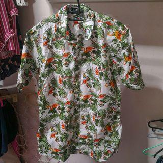 BN Flamingo Fern Button Up
