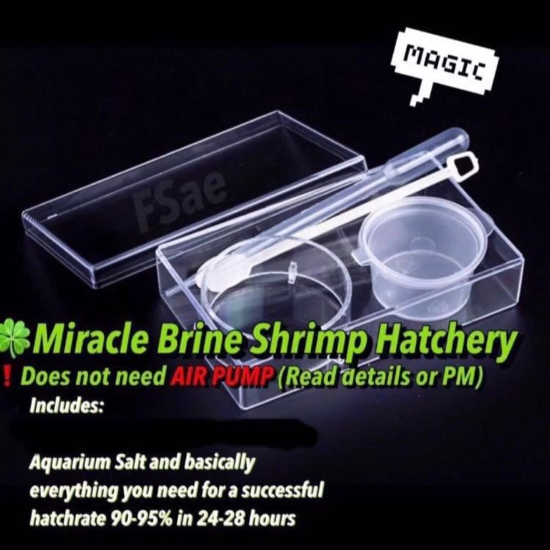 Baby brine shrimp for betta fry sales