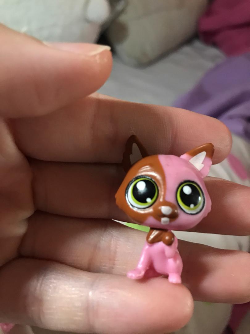 Littlest Pet Shop Kitty Cat Toys Games Bricks Figurines On