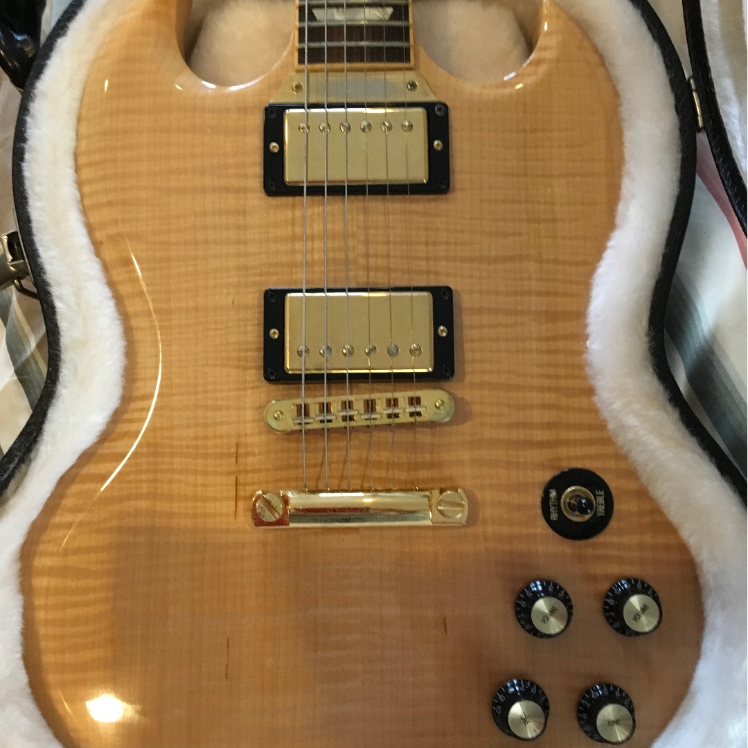 Rare Gibson SG Select 2008 Price Reduction Hobbies Toys