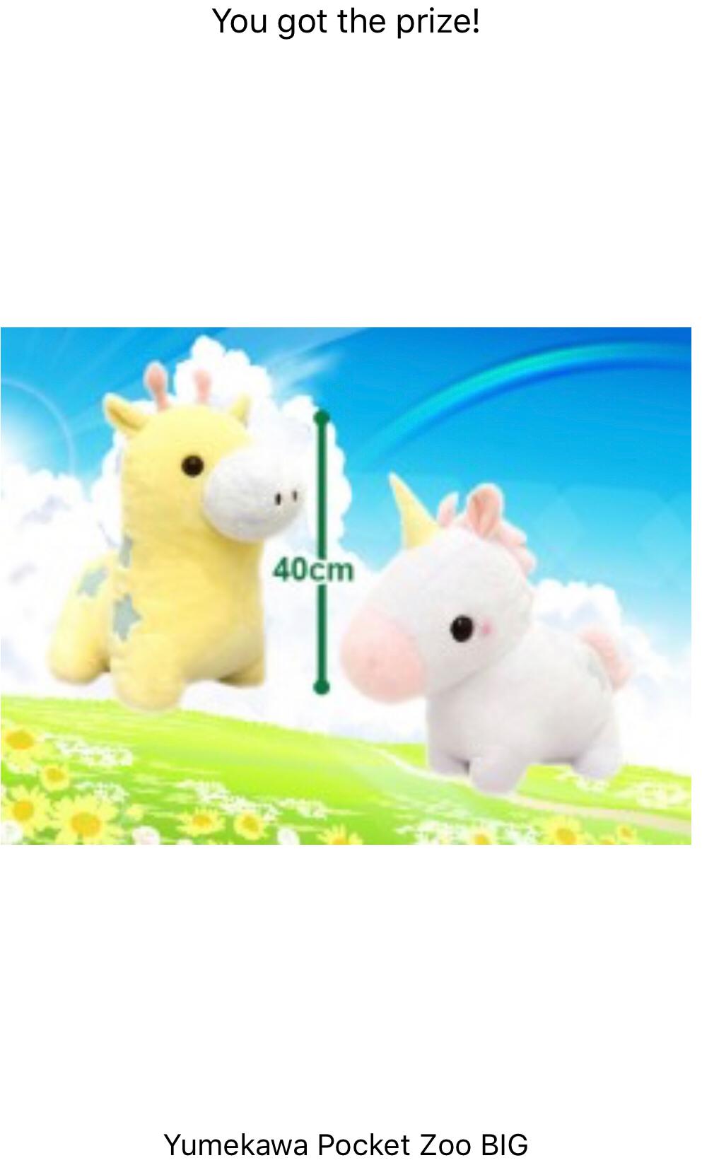 Yumekawa pocket zoo store