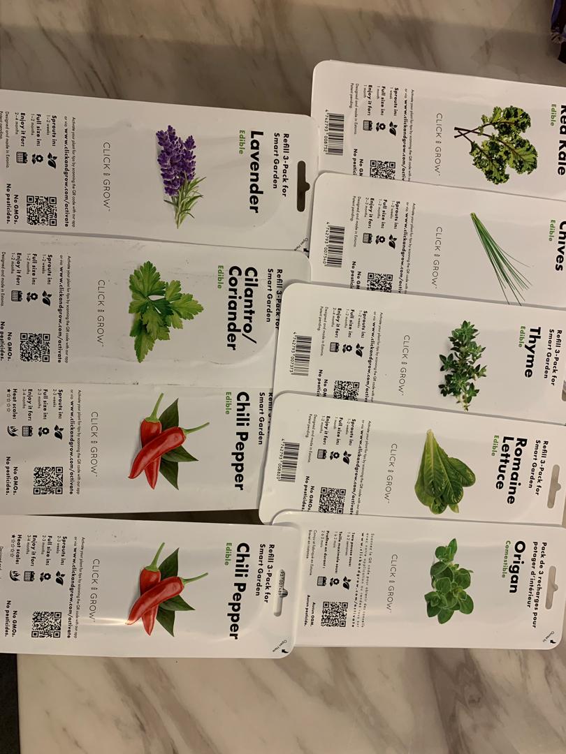 Click N Grow Pods Left Dwarf Peas Only Gardening Plants On Carousell