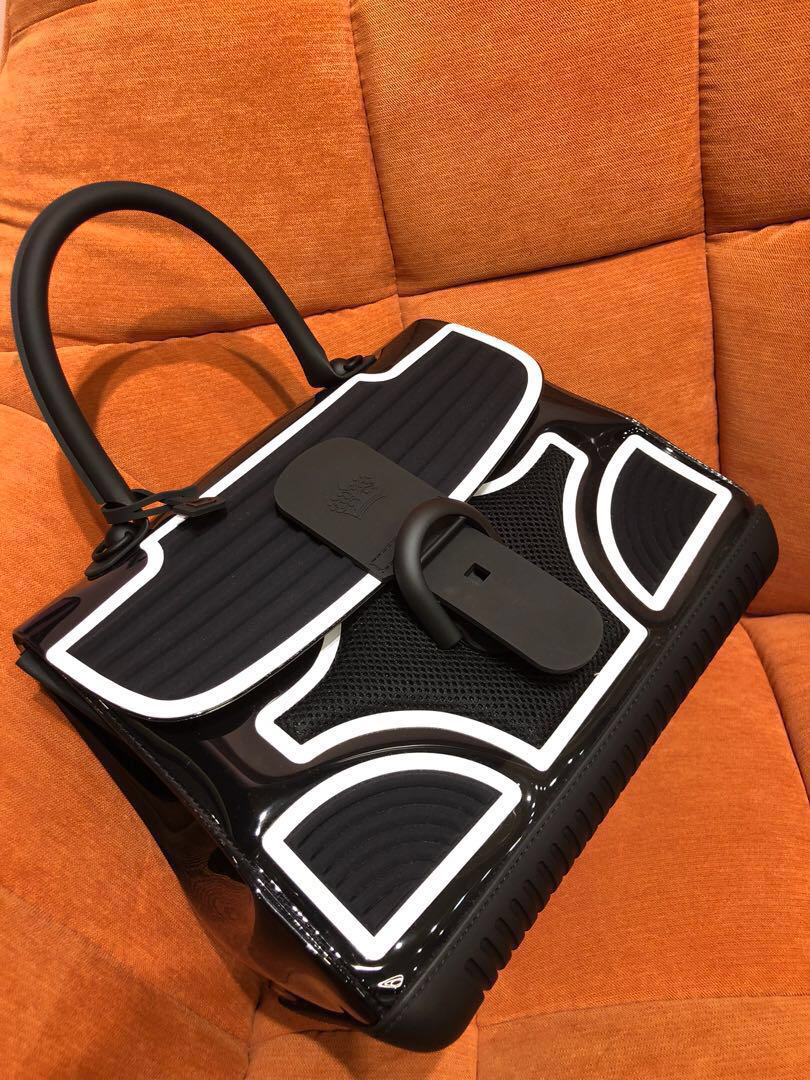 Delvaux Brillant MM Champion Carousell