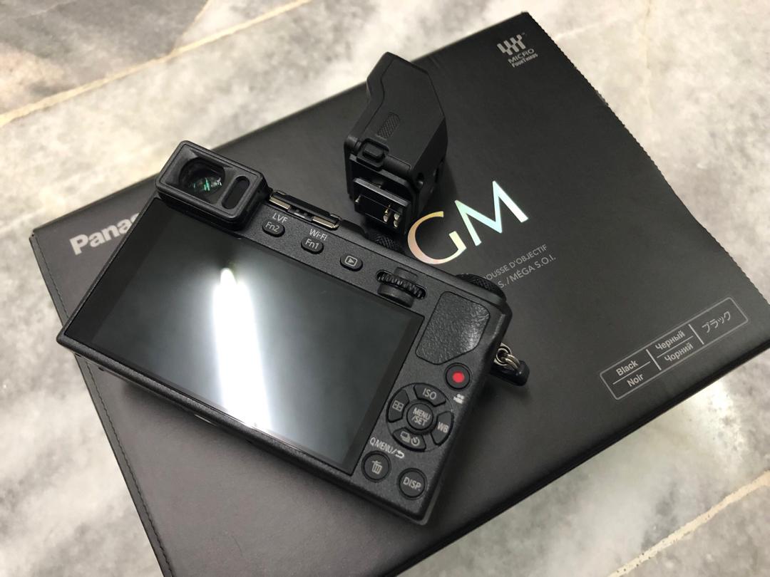 pana gm5