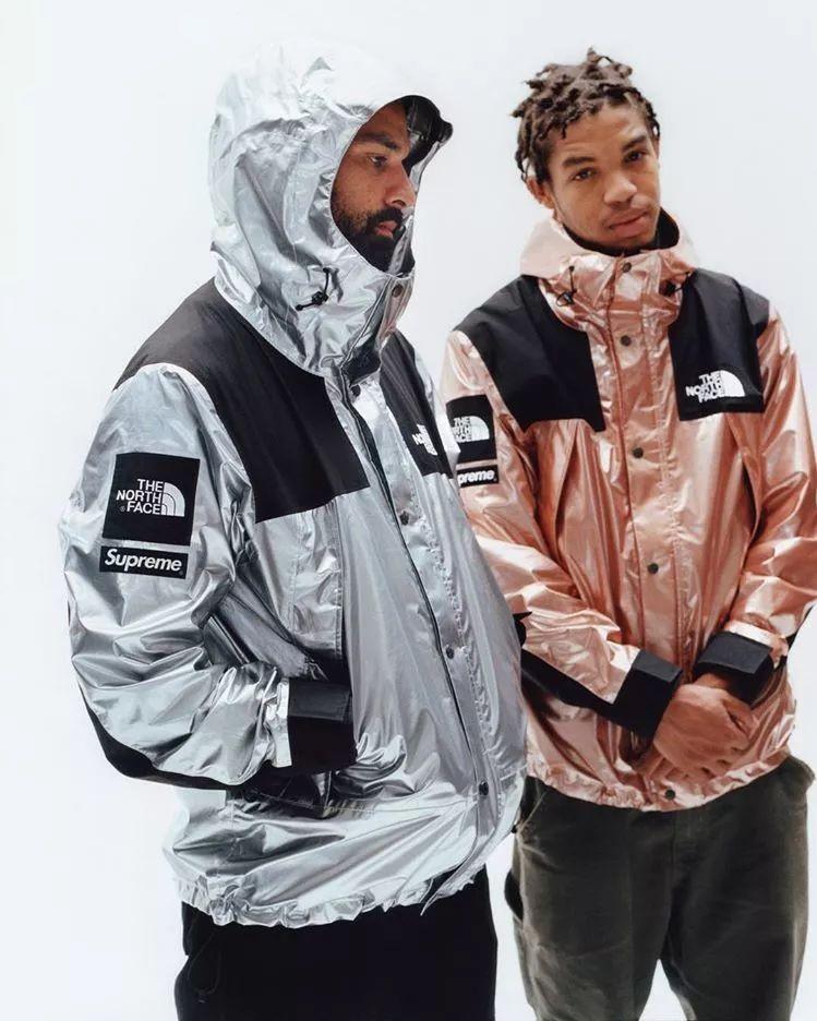 Supreme x The North Face TNF Silver L