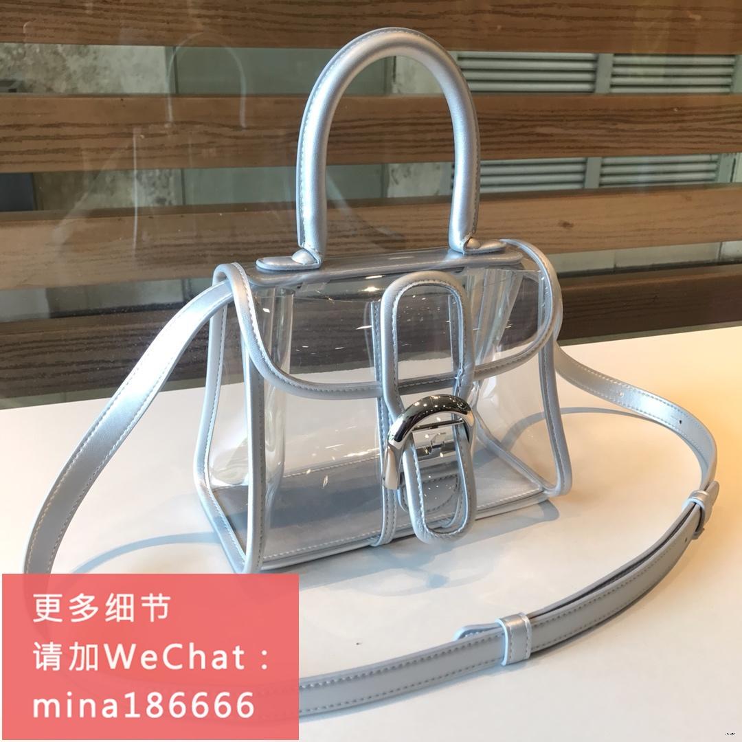 Delvaux X ray bag Carousell