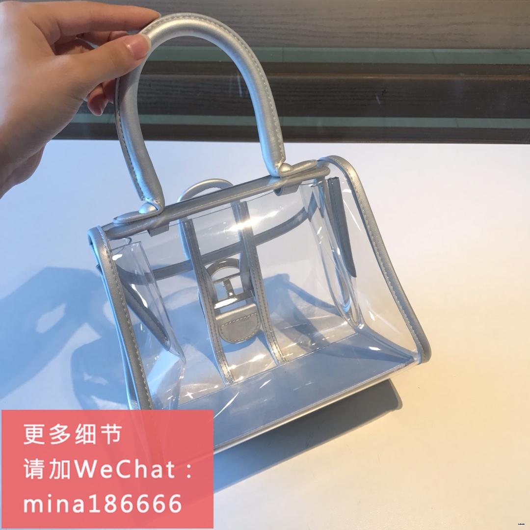 Delvaux x ray bag store