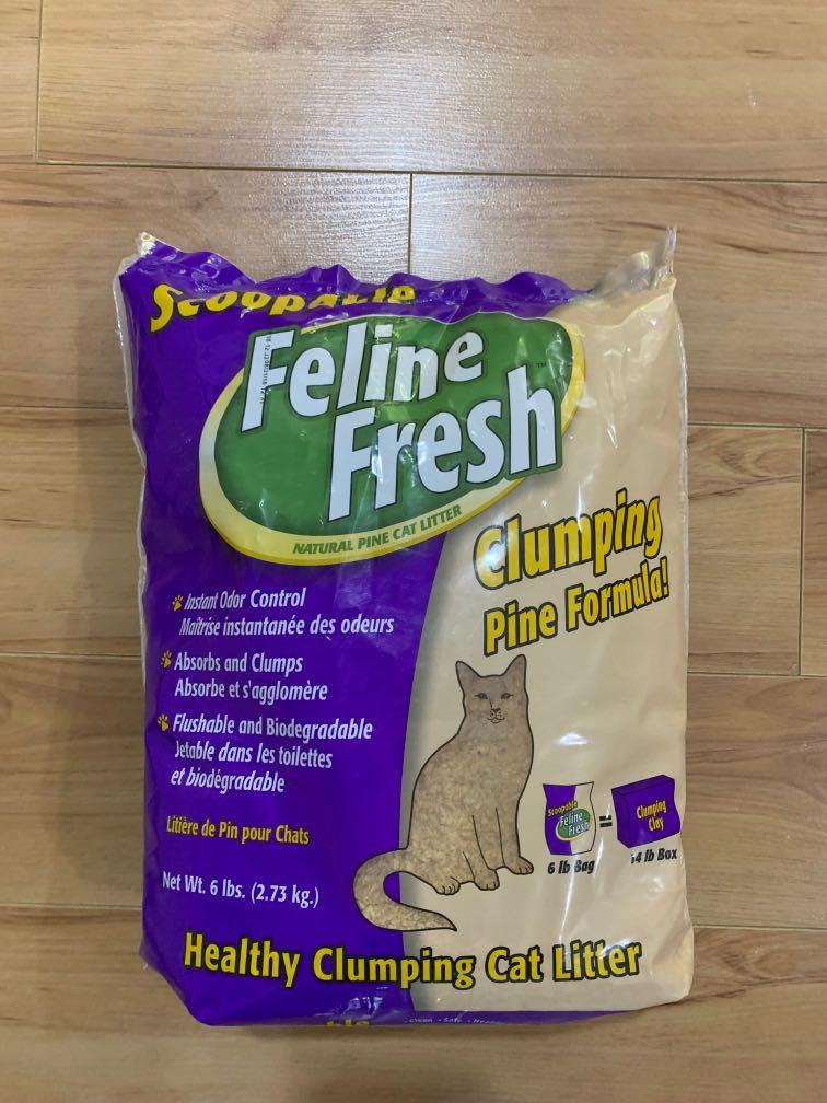 Feline Fresh Clumping Pine Litter Pet Supplies For Cats Cat