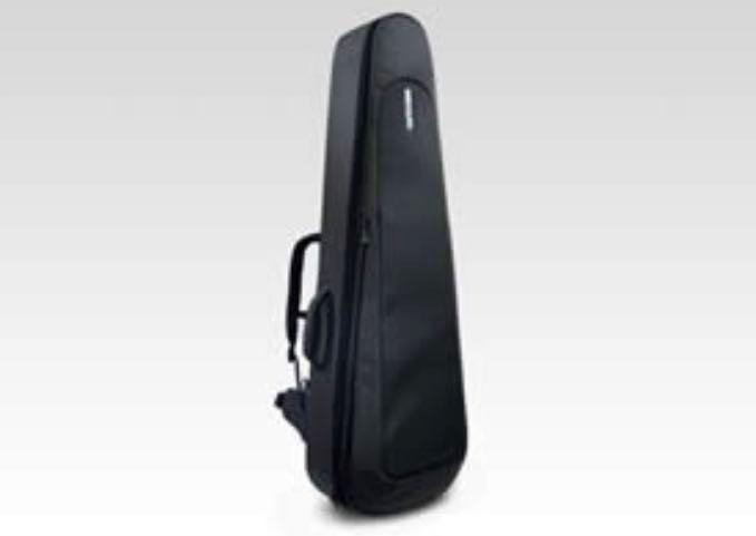 Incase Guitar Case 2024 favors