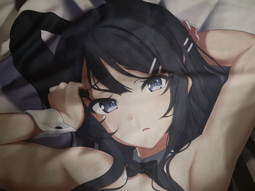 Mai sakurajima dakimakura clearance