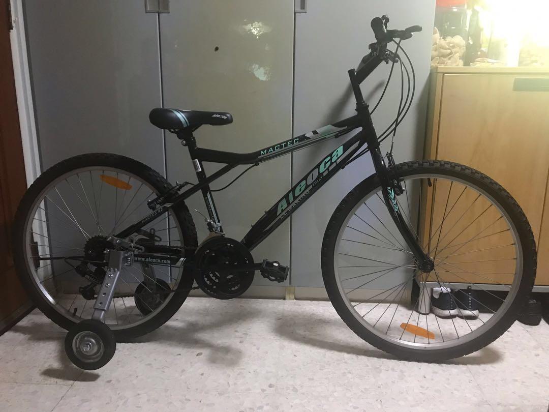 Adult bike with training wheels