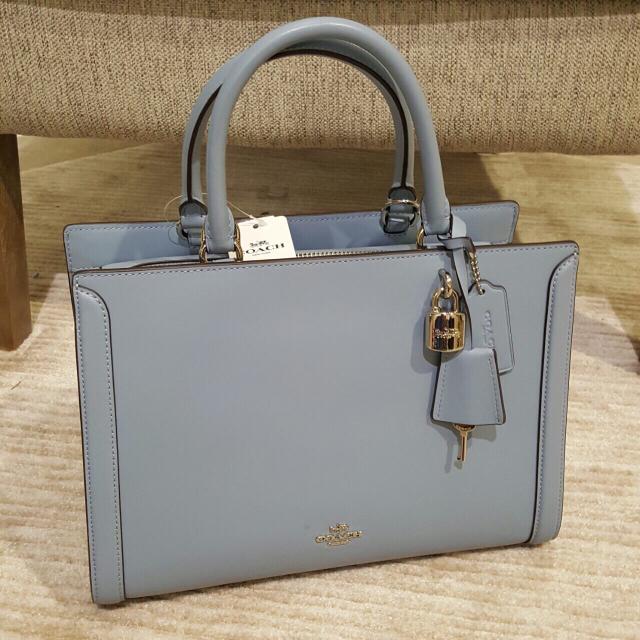 small zoe carryall