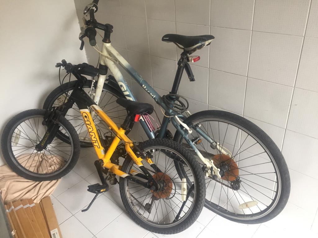 best wheel bike