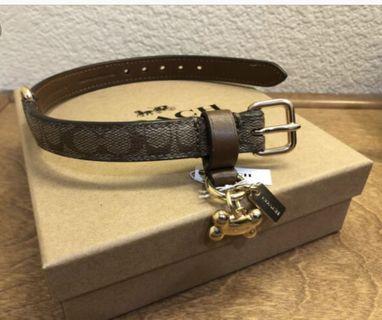 coach dog collar small