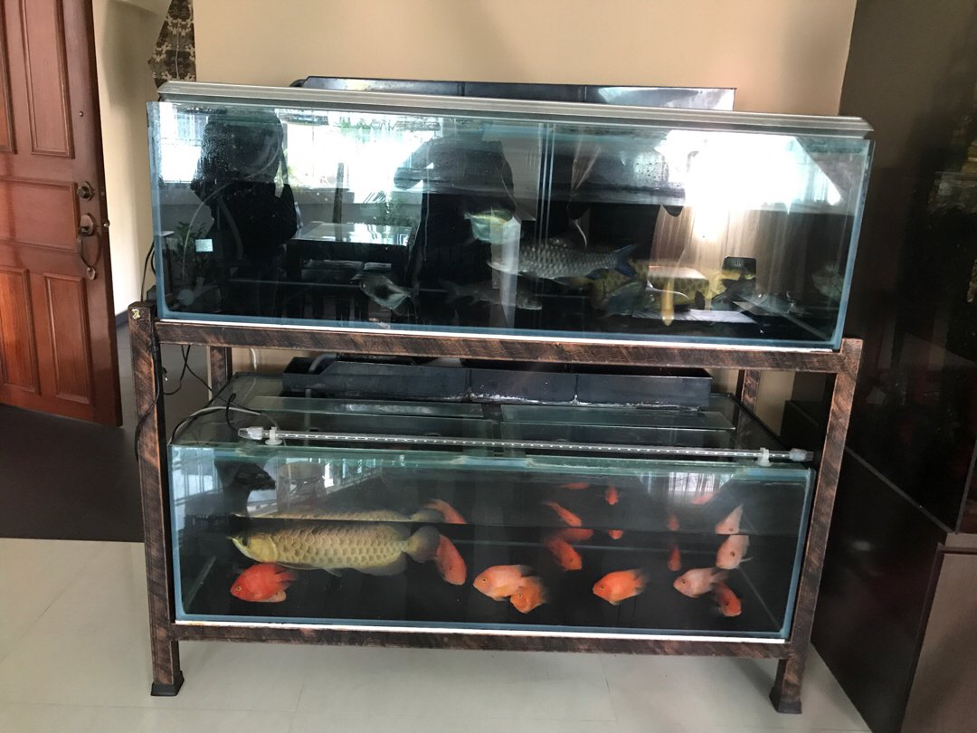 5ft fish sale tank stand