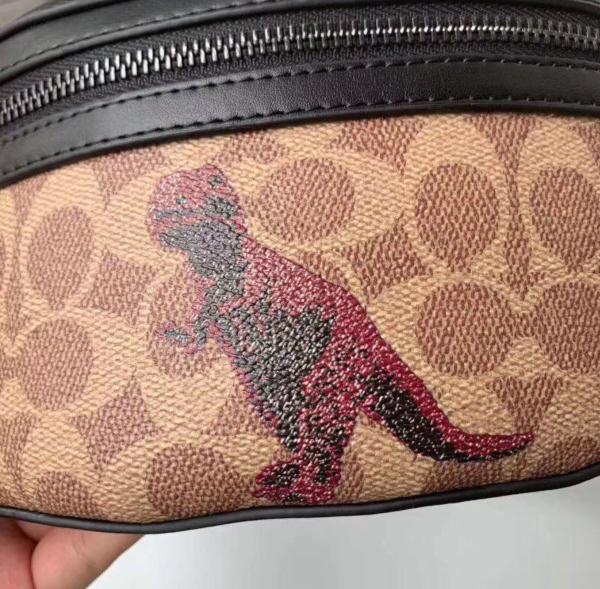 Trex coach bag sales