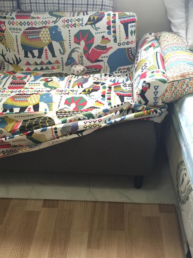 Ikea HEMLINGBY 2 seats sofa + cute Zoo cover, Furniture & Home Living