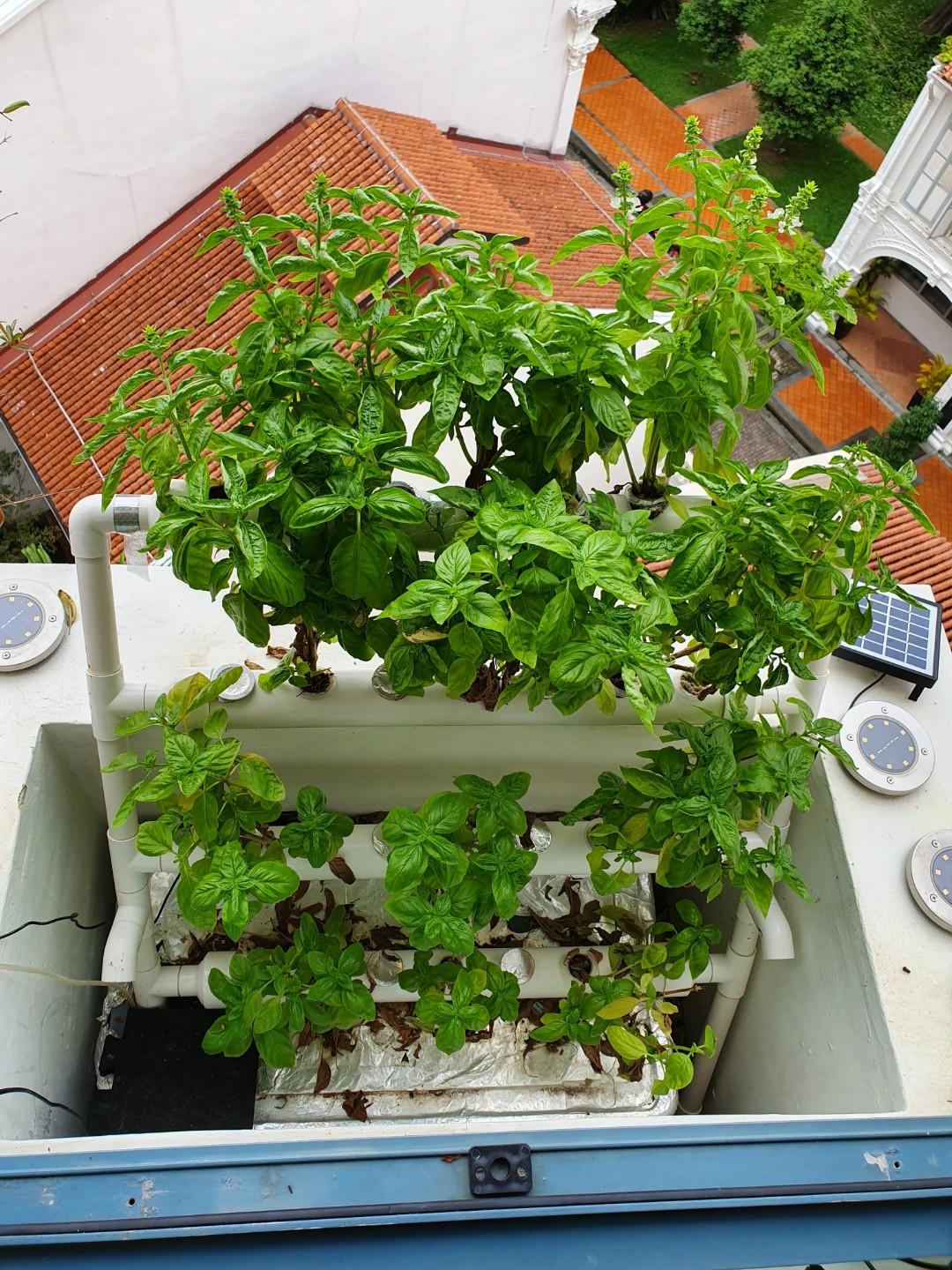 Hydroponic Site Grow Kit 4 Layers 28 Plant Sites Hydroponic