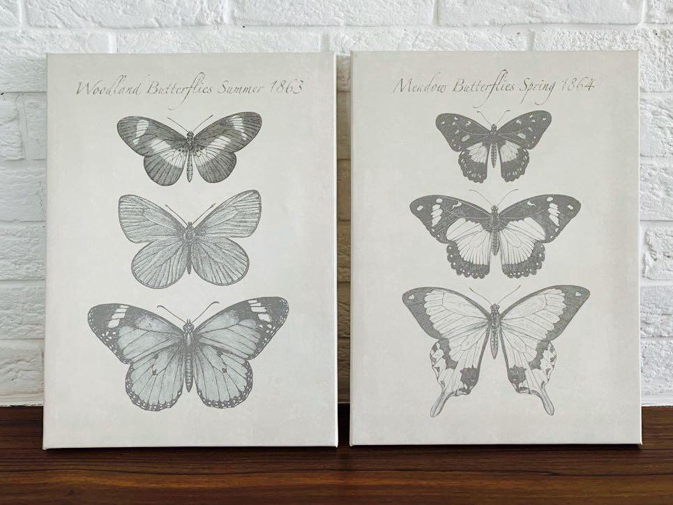 Ikea Pjatteryd Wall Picture Butterfly Design Craft Art Prints On Carousell