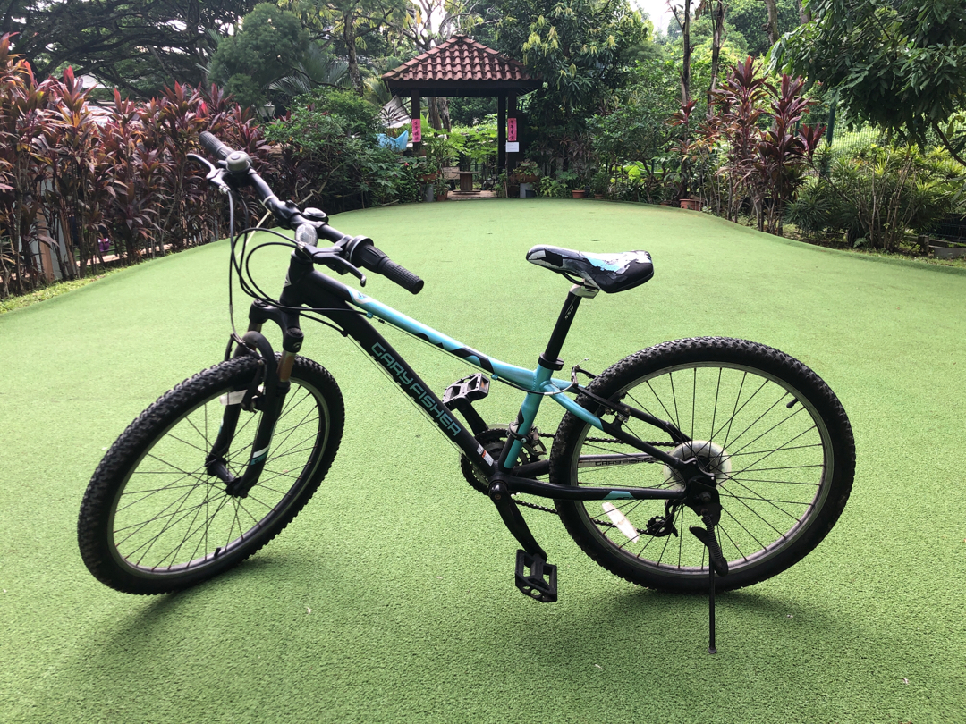 gary fisher precaliber 24