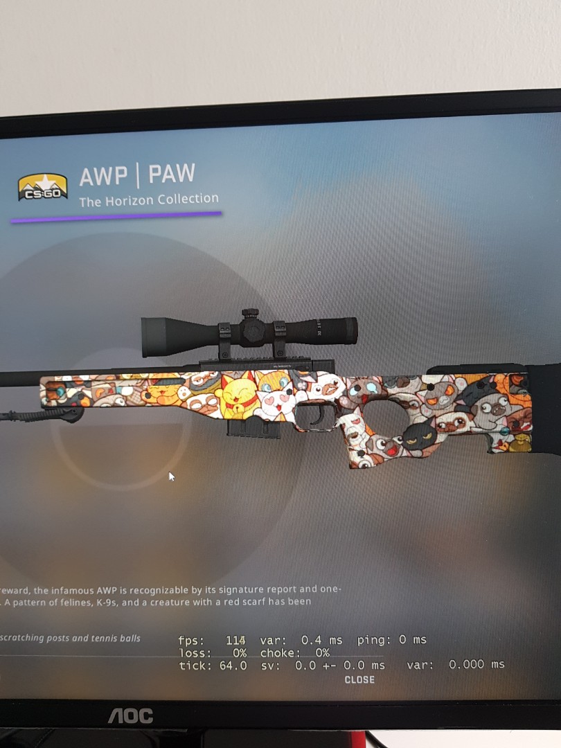 Rarest Skin Pattern Awp Paw (Fa Cai Mao), Video Gaming, Gaming Game Cards Accounts on Carousell
