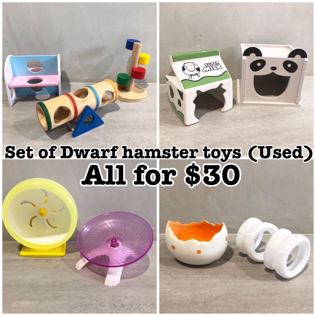 hamster toy on wheels