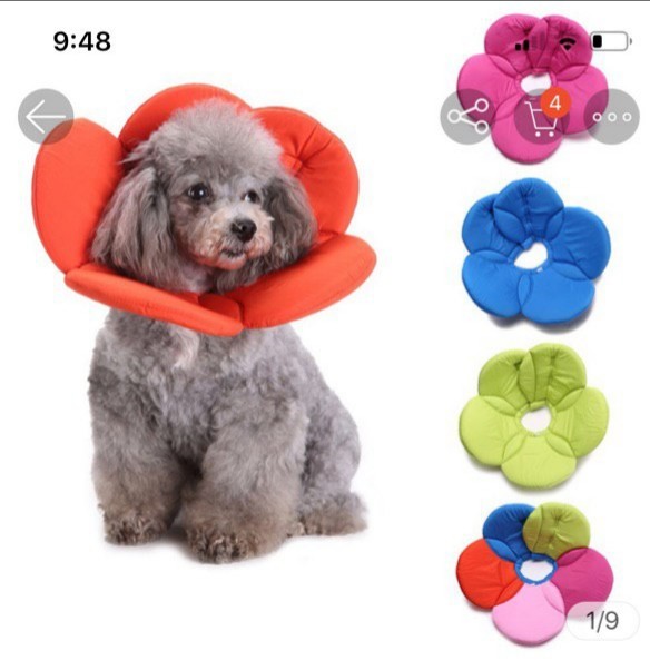BN Dog Anti Lick Flower Cone in Blue Pet Supplies Homes Other Pet Accessories on Carousell