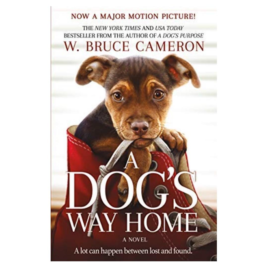 Flash Sale A Dog S Way Home Books Stationery Fiction On Carousell
