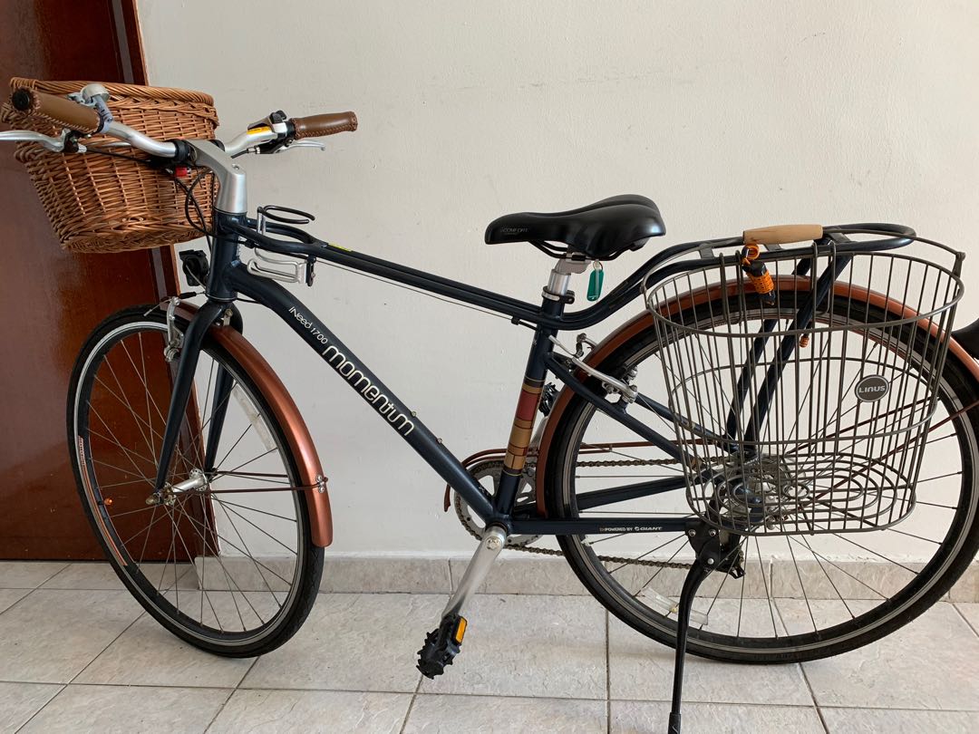 giant momentum ineed