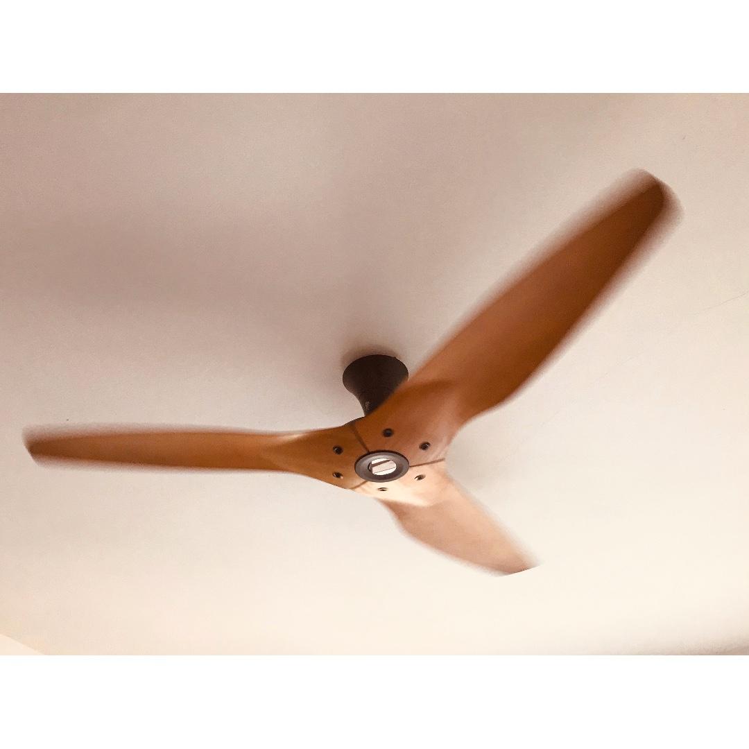 Haiku 60" Hseries DC Ceiling Fan, Furniture & Home Living, Lighting