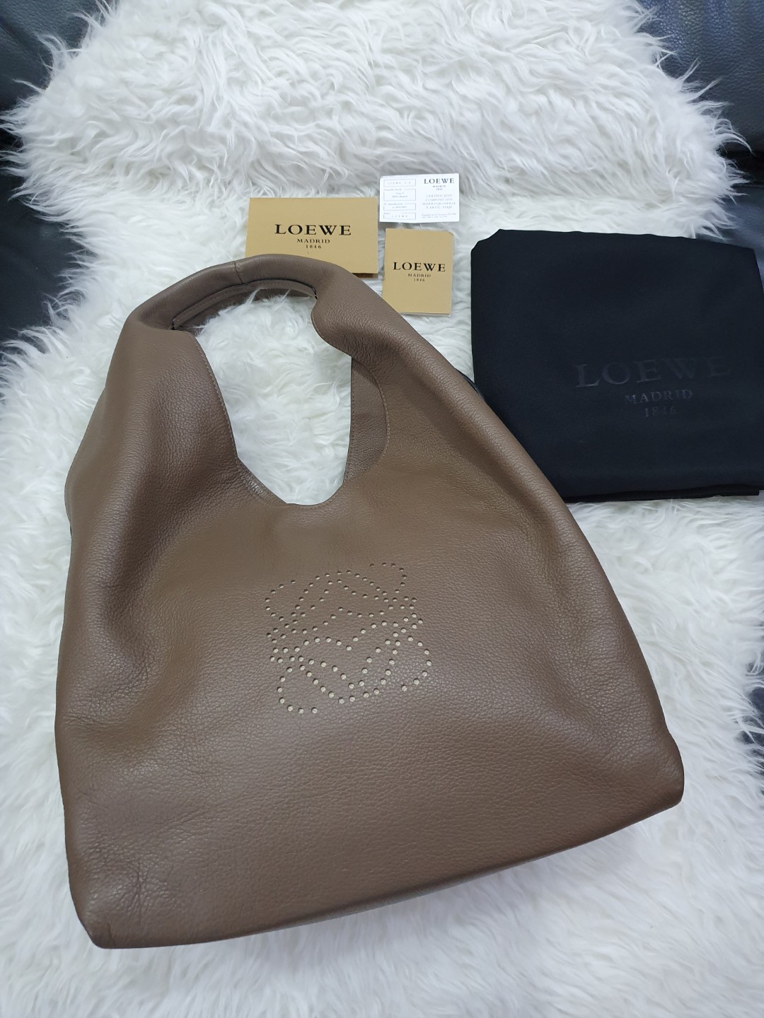Loewe dunas bag sales