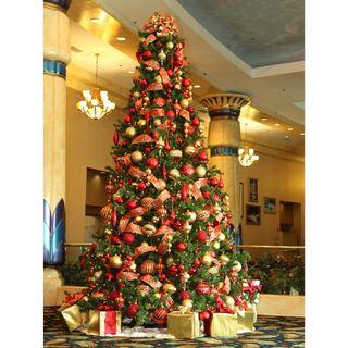 Giant Christmas Tree