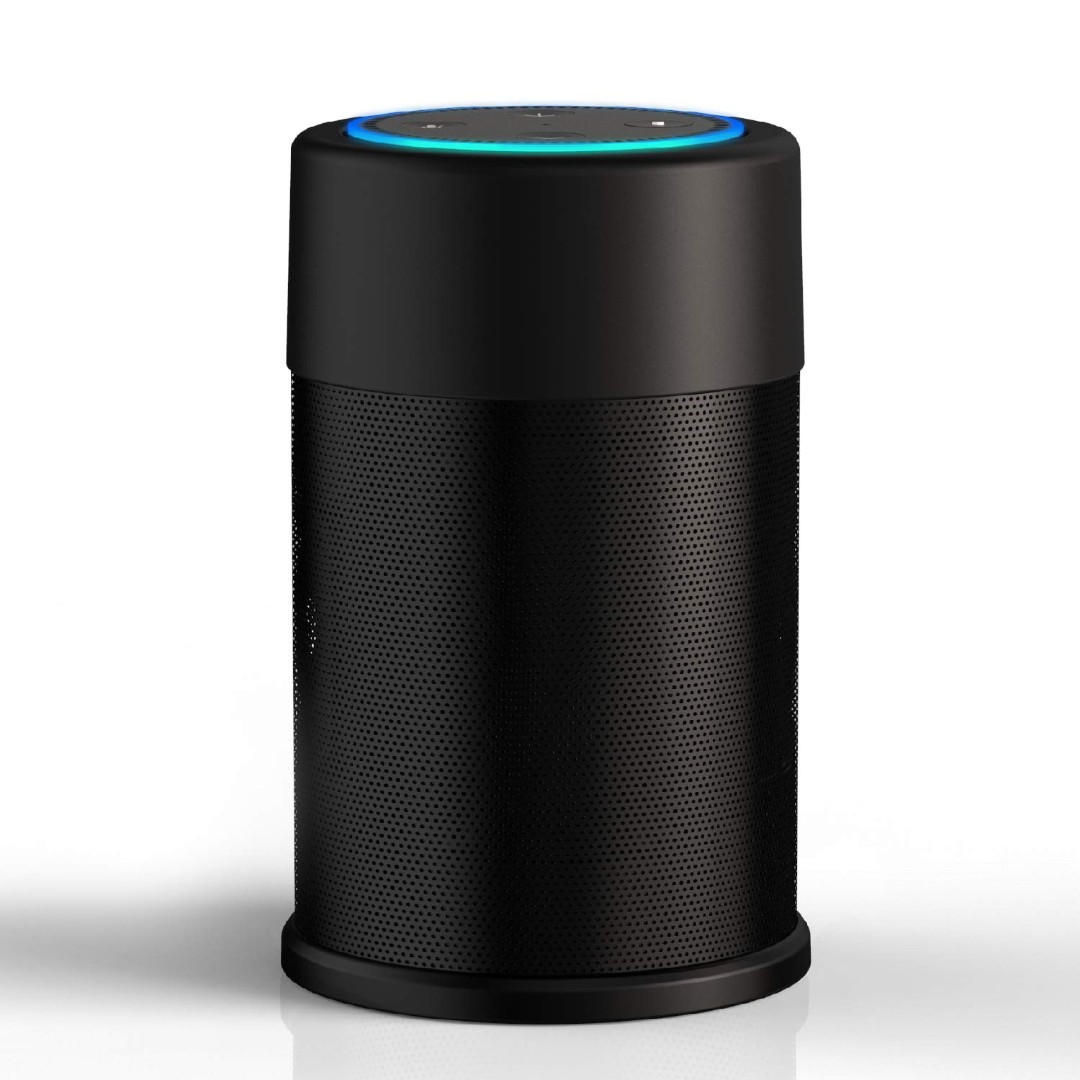 echo dot dock