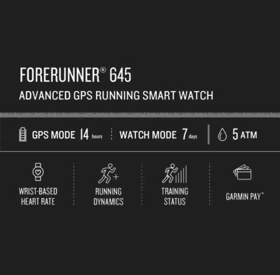 Garmin 2024 645 sandstone