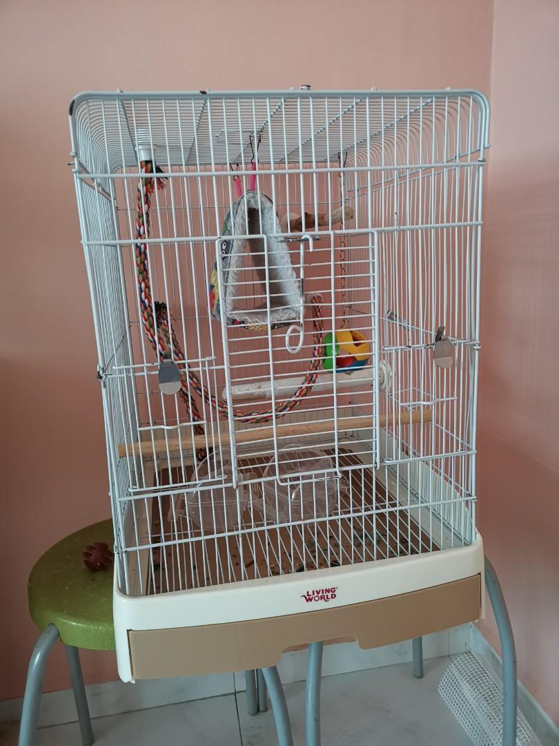 Living World Parrot Cage
