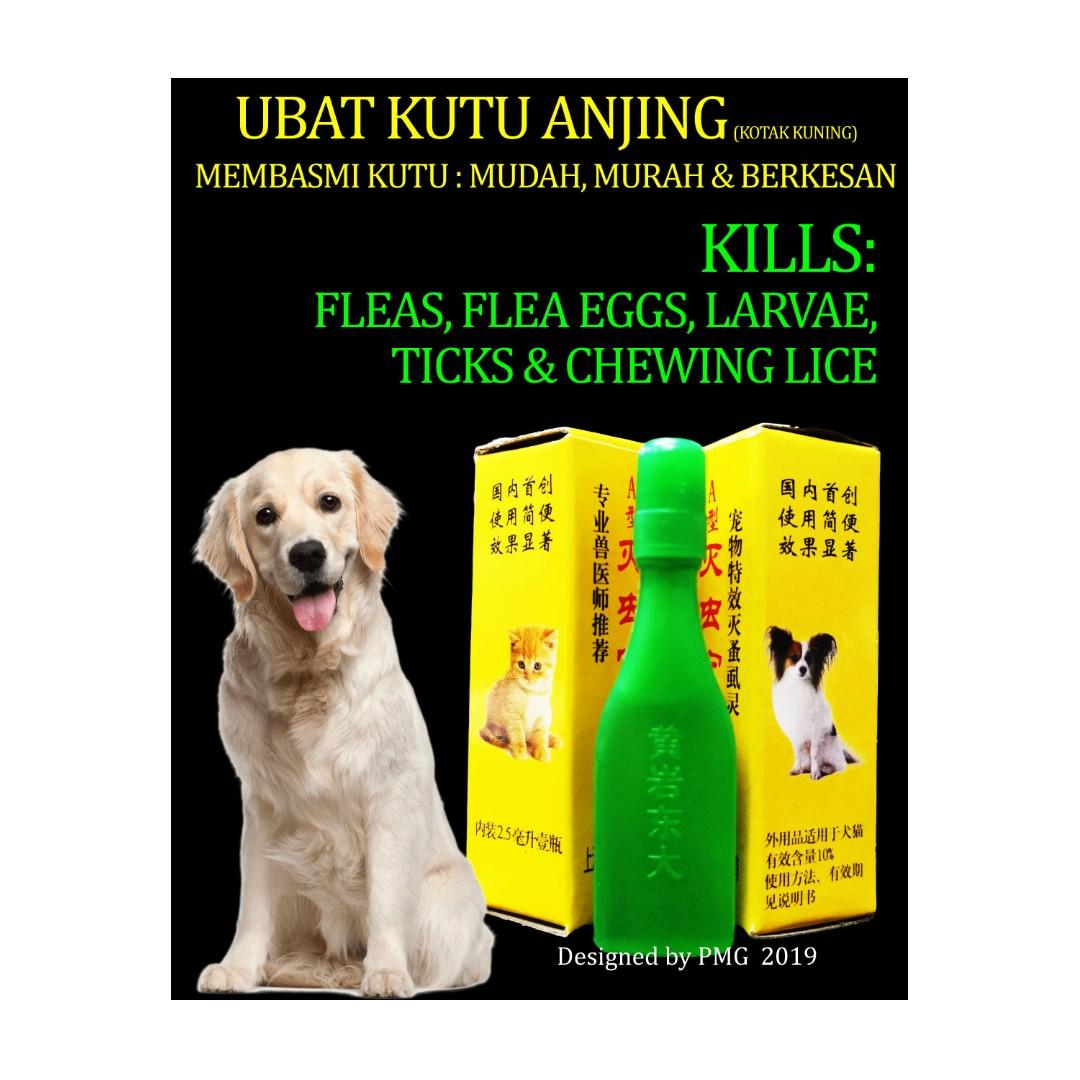 Ubat Kutu Anjing Dog Flea Tick Treatment 2 5ml Pet Supplies