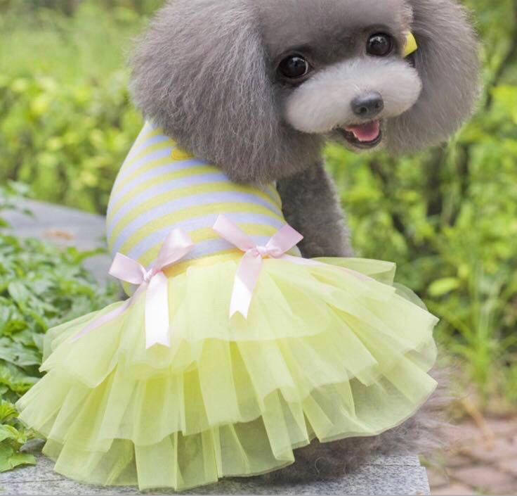Sale Pet Cloth Cat Dog Rabbit Princess Dress Pc029 Tx Pet Supplies For Cats Cat Accessories On Carousell