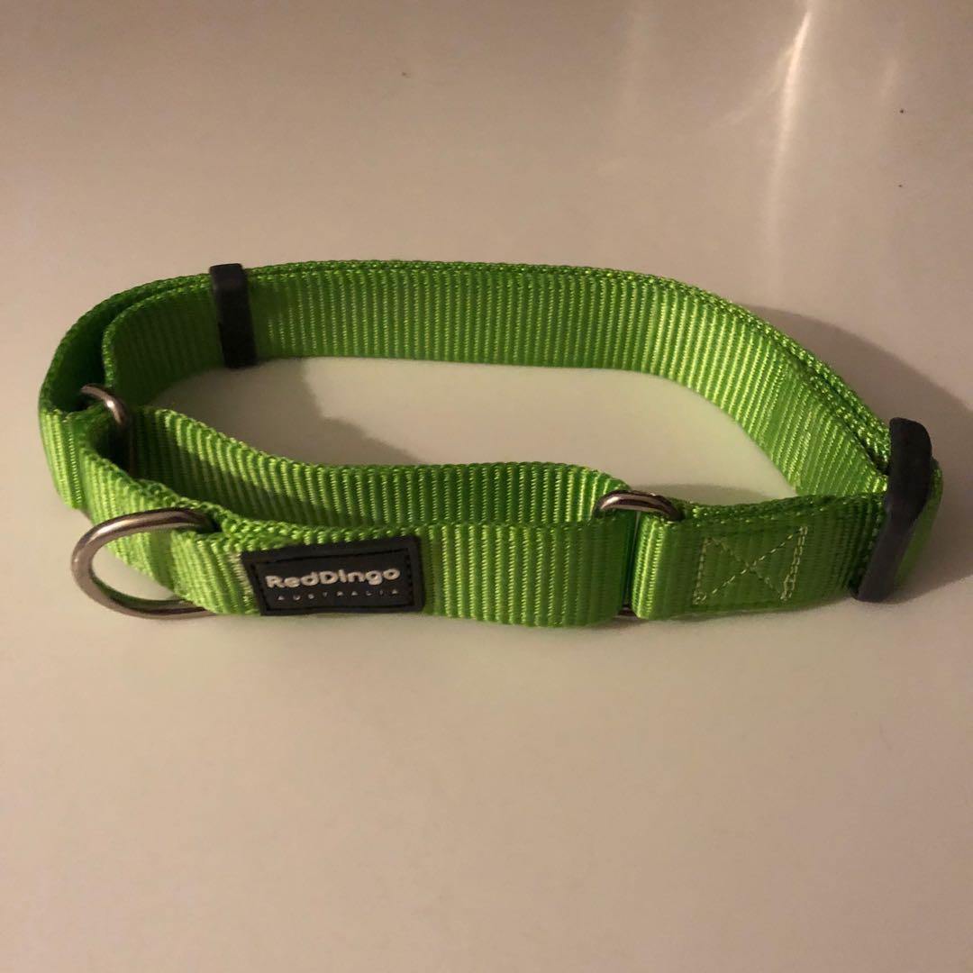 Red dingo hot sale martingale
