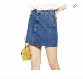 Top Shop Skirt