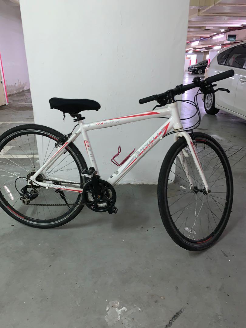 43cm bike frame
