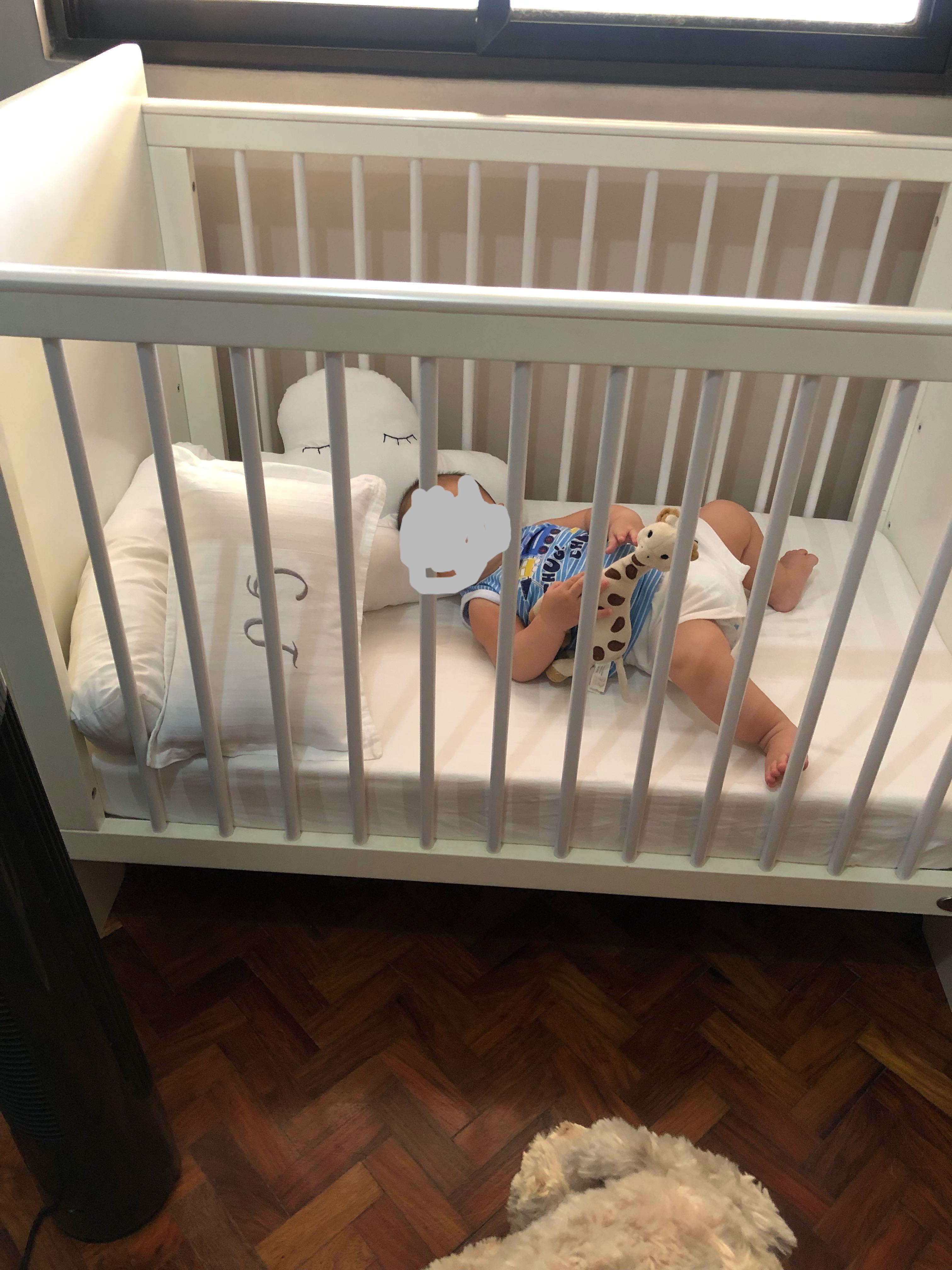 Cuddlebug Mini Maywood Crib Babies Kids Baby Nursery Kids Furniture Cots Cribs on Carousell