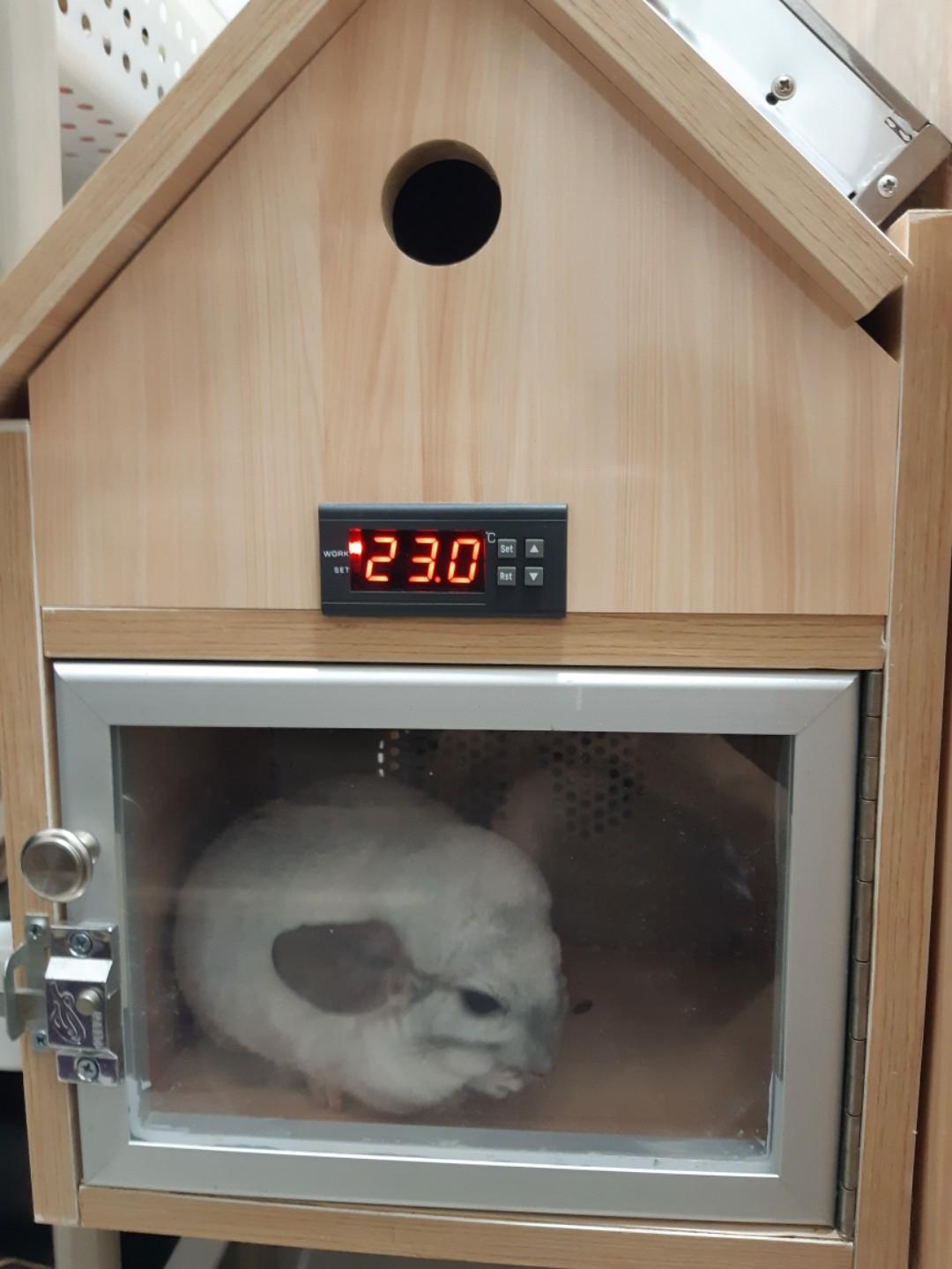 Chinchilla aircon cage, Pet Supplies, Homes & Other Pet Accessories on