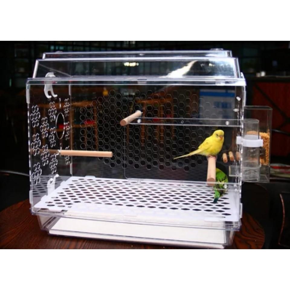 acrylic bird cage