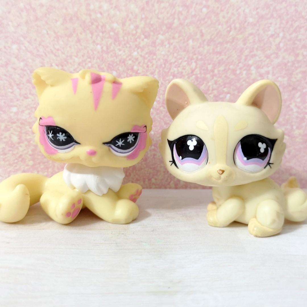 lps crouching cat