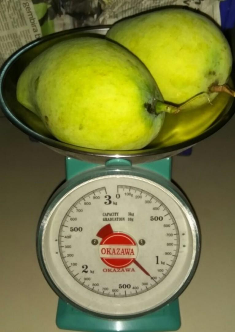 Musim Mempelam Harumanis Dah Nak Mula Kerajaan Perlis Sarankan Harumanis Jadi Pengganti Kurma Ketika Berbuka Puasa Libur