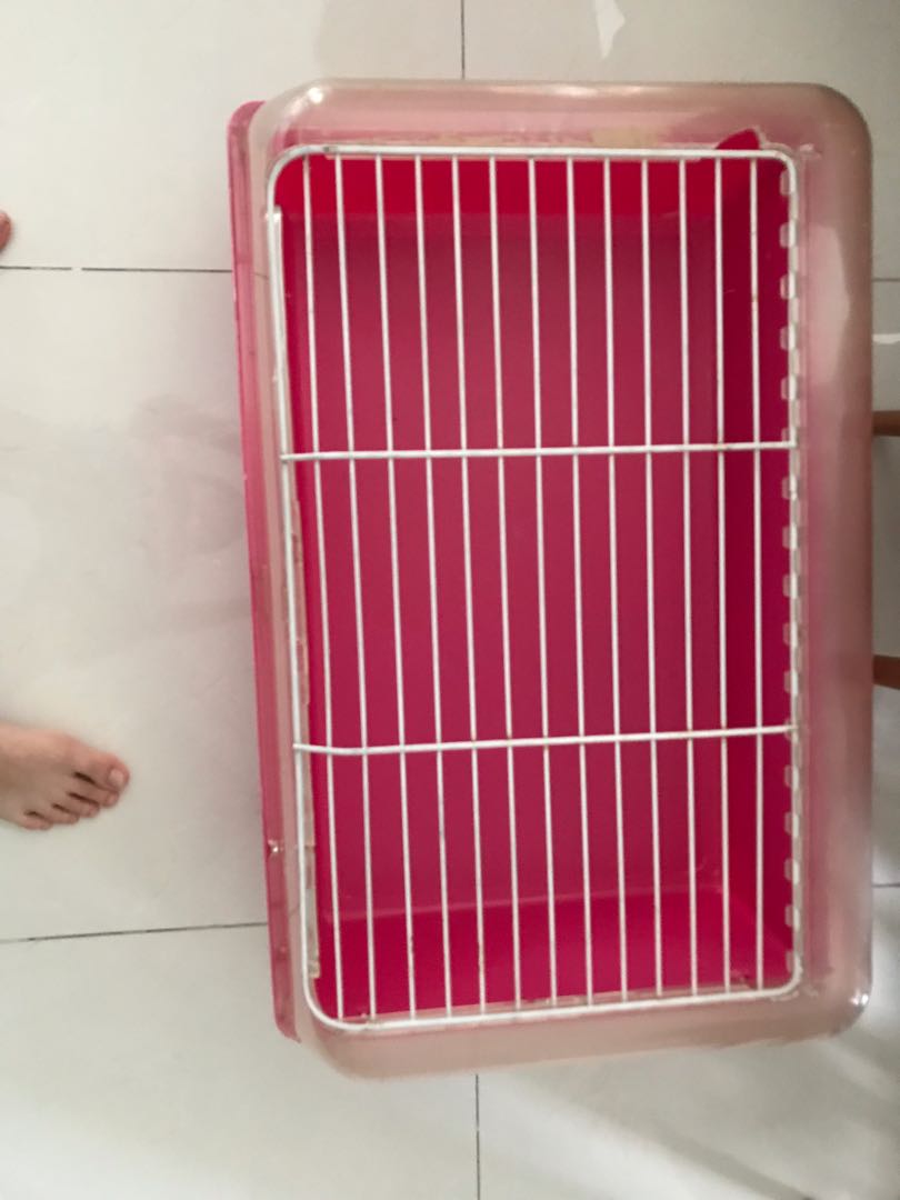 Zoo zone 1 cage, Pet Supplies, Homes & Other Pet Accessories on Carousell